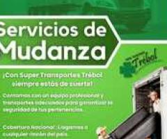 Mudanzas Económicas - Apodaca