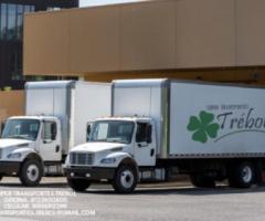 Fletes y mudanzas en monterrey - Monterrey