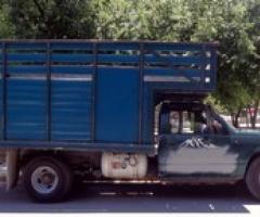 Mudanzas y Fletes Económicos en Monterrey - Monterrey
