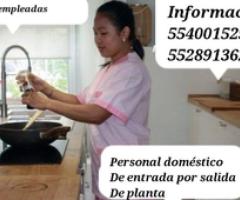 Servicios domésticos Naucalpan - Huixquilucan