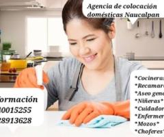 Empleadas domesticas de planta 5540015255 - Huixquilucan
