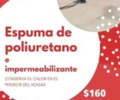 Espuma de poliuretano en techo - Saltillo