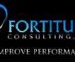 Fortitude Consulting, LLC - México DF