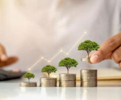 Especialista en inversiones. Patrimonial y de negocios - Zapopan