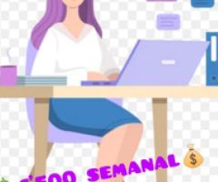 Secretaria y capturista - Cuernavaca