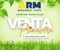 Promociones de temporada - Venustiano Carranza