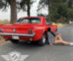 Autoreparadores - Almoloya de Alquisiras - 3