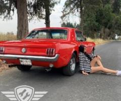 Autoreparadores - Ecatzingo - 2