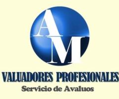 Peritos valuadores profesionales en cdmx - México DF