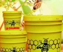 MIEL % PURA DE ABEJA Mayoreo y menudeo Pachuca - Pachuca de Soto