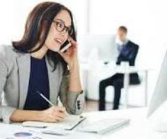 Auxiliar capturista - México DF