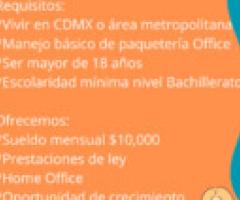 Auxiliar de oficina - México DF