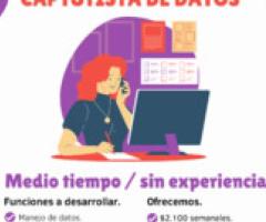 Capturista de datos - México DF