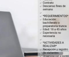 Recepcionista - Zacualpan