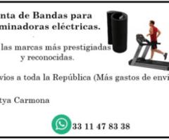 Bandas para caminadoras - Guadalajara