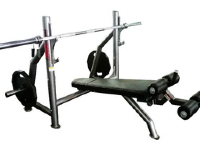 Aparatos de gimnasio rpofesionales (somos fabricantes) - Monterrey - 1
