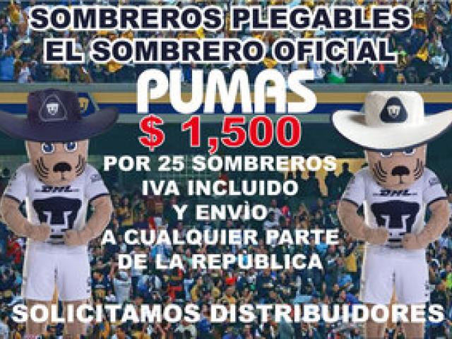 Sombreros personalizados de los pumas para el estadio - México DF - 1