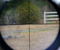 Gamo Big Cat y mira 4 x 32 - Tlalnepantla de Baz