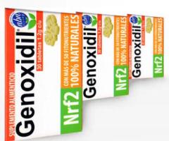 Antioxidante genoxidil nrf2 - Bustamante
