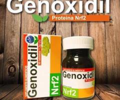 Venta de genoxidil nrf2 - Atoyac de Alvarez - 1